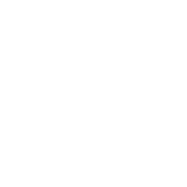 Revisions icon