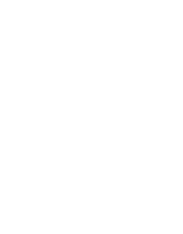 Results Icon