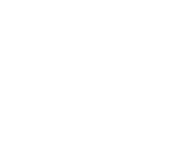 Experience Icon