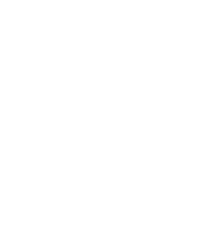 Expertise icon